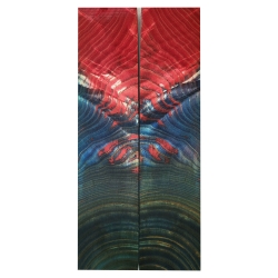 Drewno stabilizowane Jesion czeczot twardziel okładki 10x46x205mm SASCK81